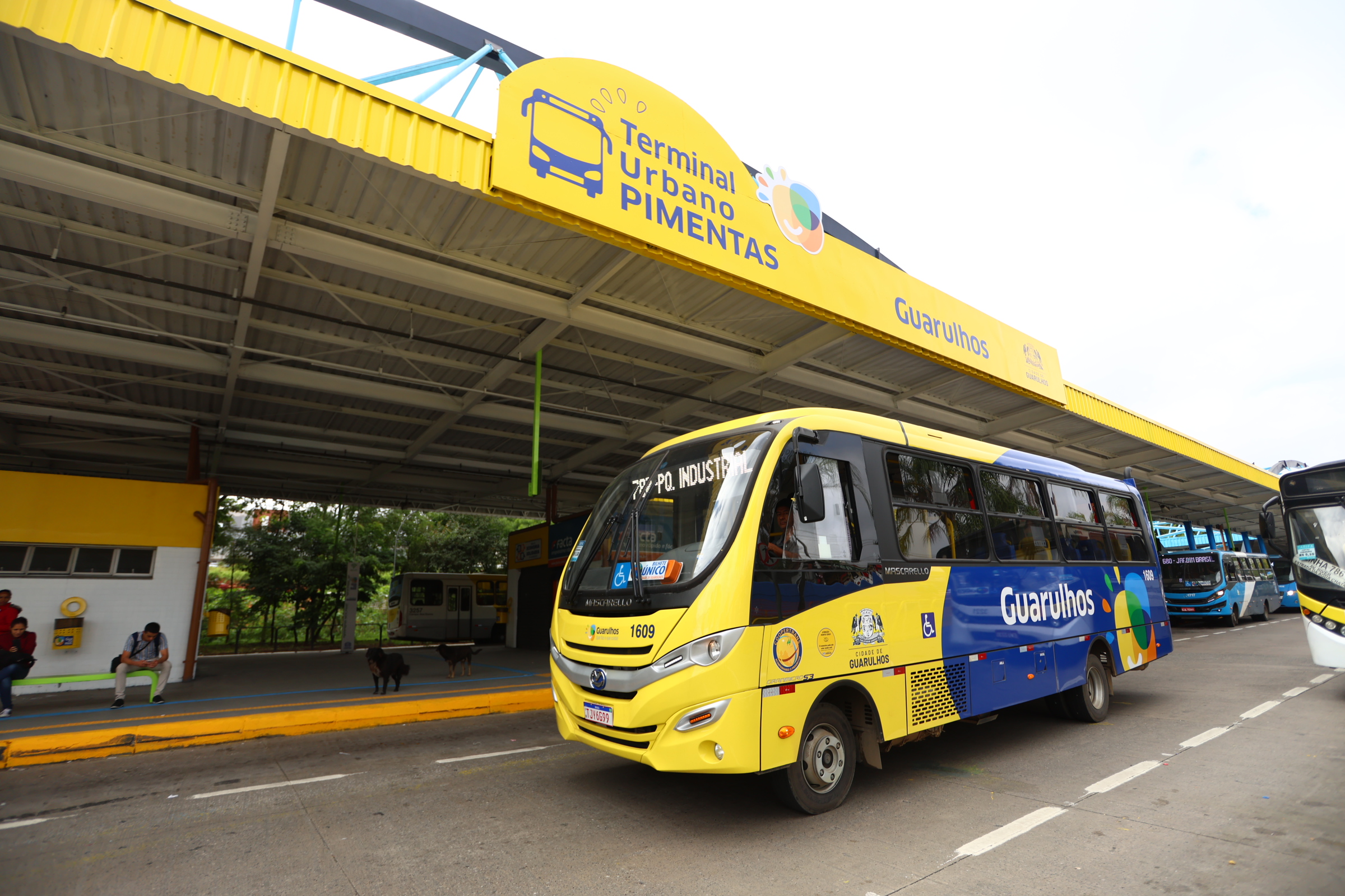 Terminal Pimentas